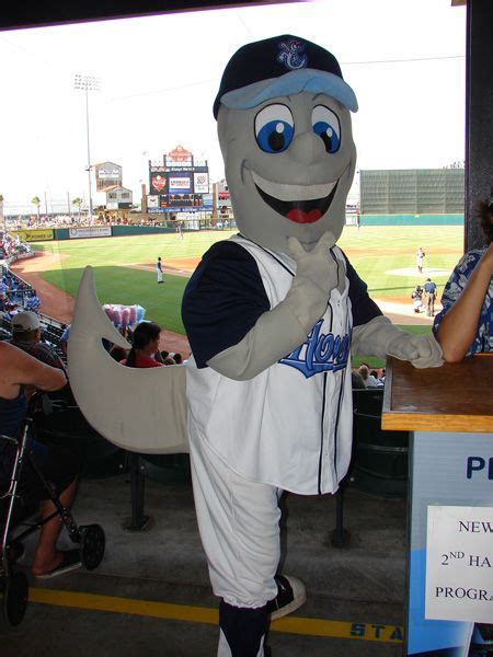 Ace's Road Trip Adventures: Going on Tour with the Corpus Christi Hooks Mascot